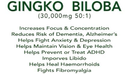 Gingko Biloba 50:1