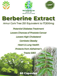 Dr MB's Berberine Extract 25:1 giving an equivalent of 17,500 mg of natural powder per capsule