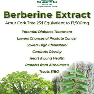 Dr MB's Berberine Extract 25:1 giving an equivalent of 17,500 mg of natural powder per capsule