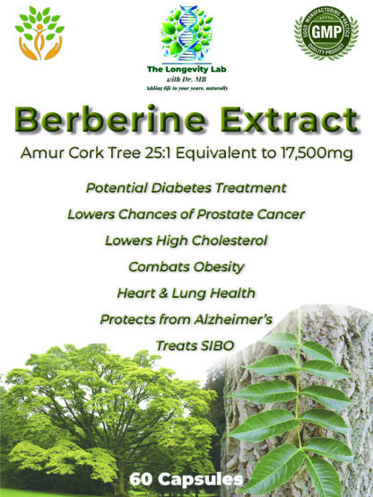 Dr MB's Berberine Extract 25:1 giving an equivalent of 17,500 mg of natural powder per capsule
