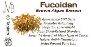 Brown Algae Extract
