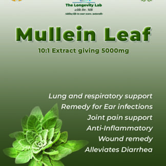 Dr. MB’s Mullein Leaf 10:1 Extract – 5000mg capsules for lung health, respiratory support, ear infection remedy, joint pain relief, and anti-inflammatory benefits