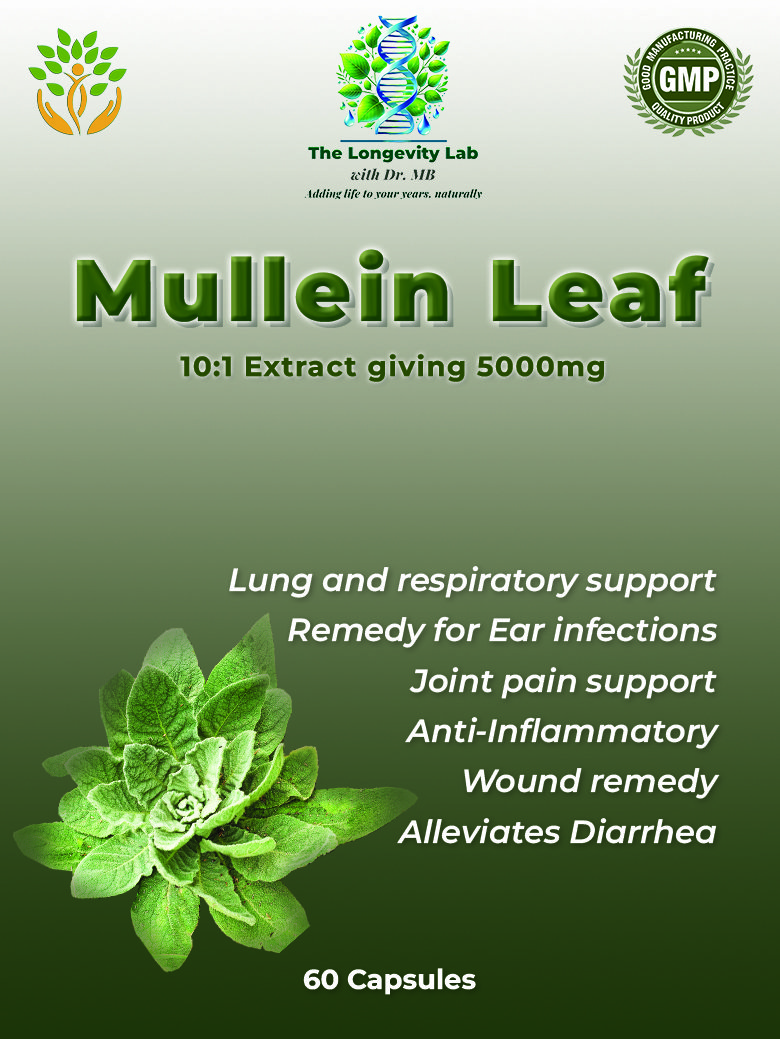 Dr. MB’s Mullein Leaf 10:1 Extract – 5000mg capsules for lung health, respiratory support, ear infection remedy, joint pain relief, and anti-inflammatory benefits